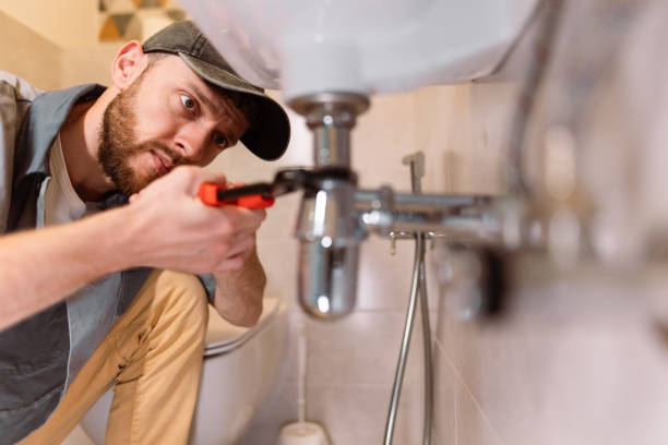 Best Clogged Drain Plumber  in Cactus Flats, AZ